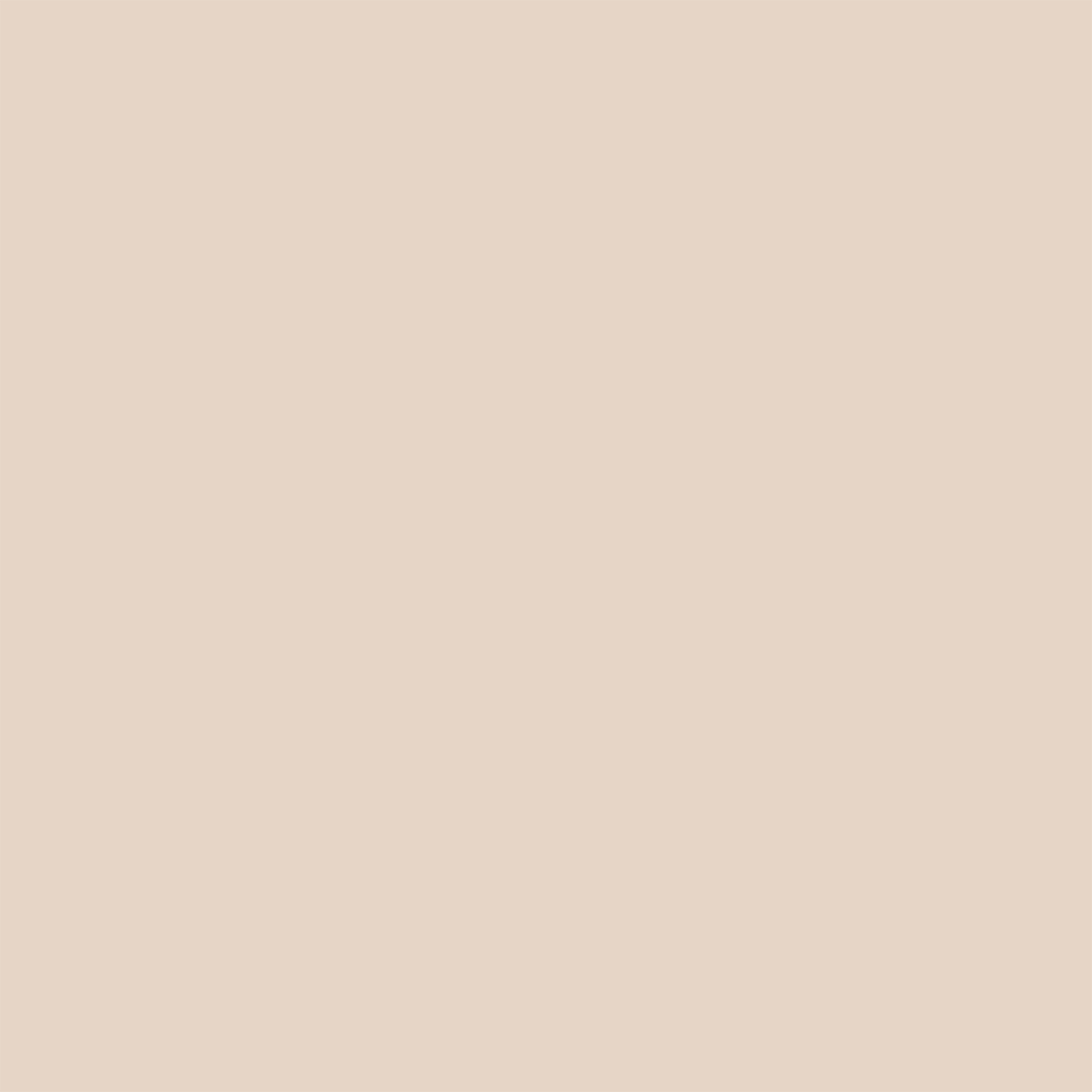 Acoma Bisque
