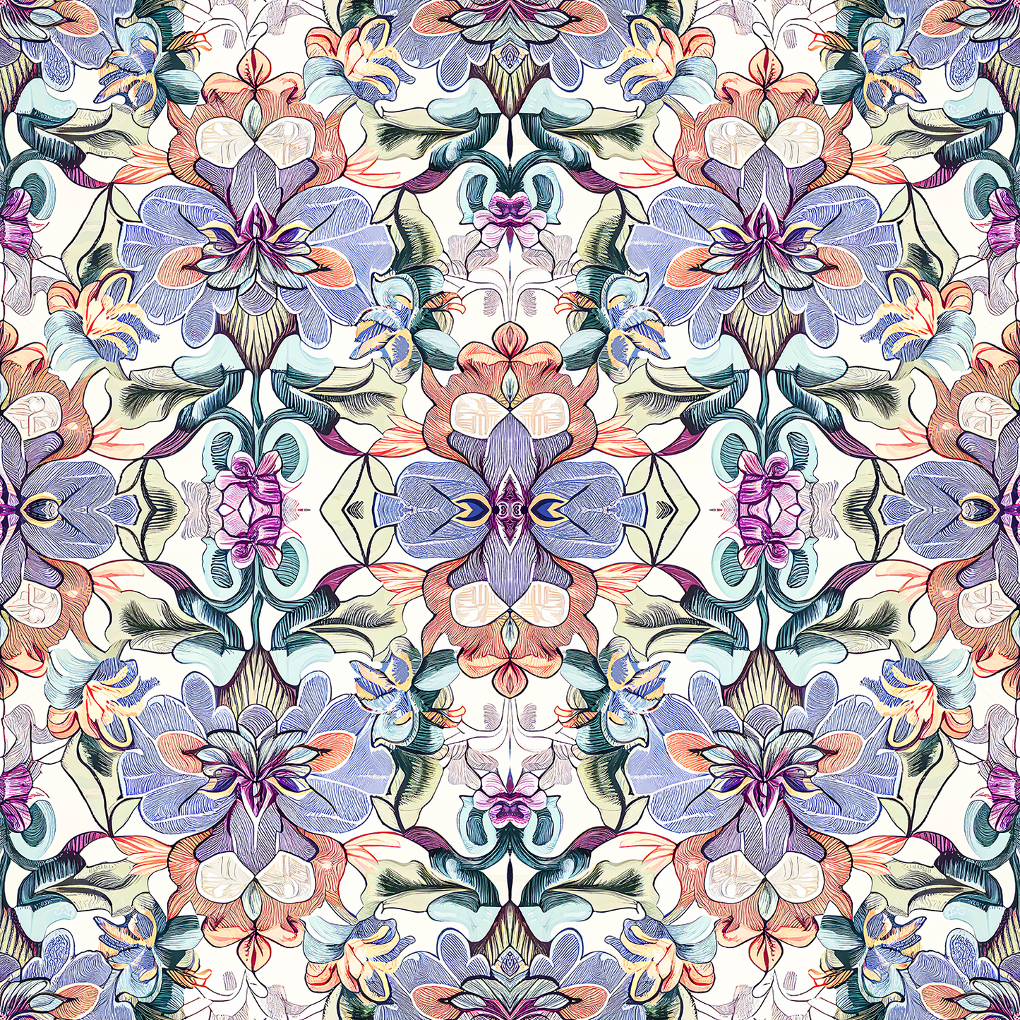 Blackberry Mountain Violet